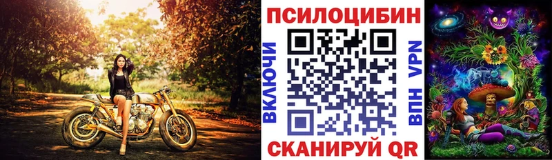 Галлюциногенные грибы MAGIC MUSHROOMS  Купить где  Новодвинск 
